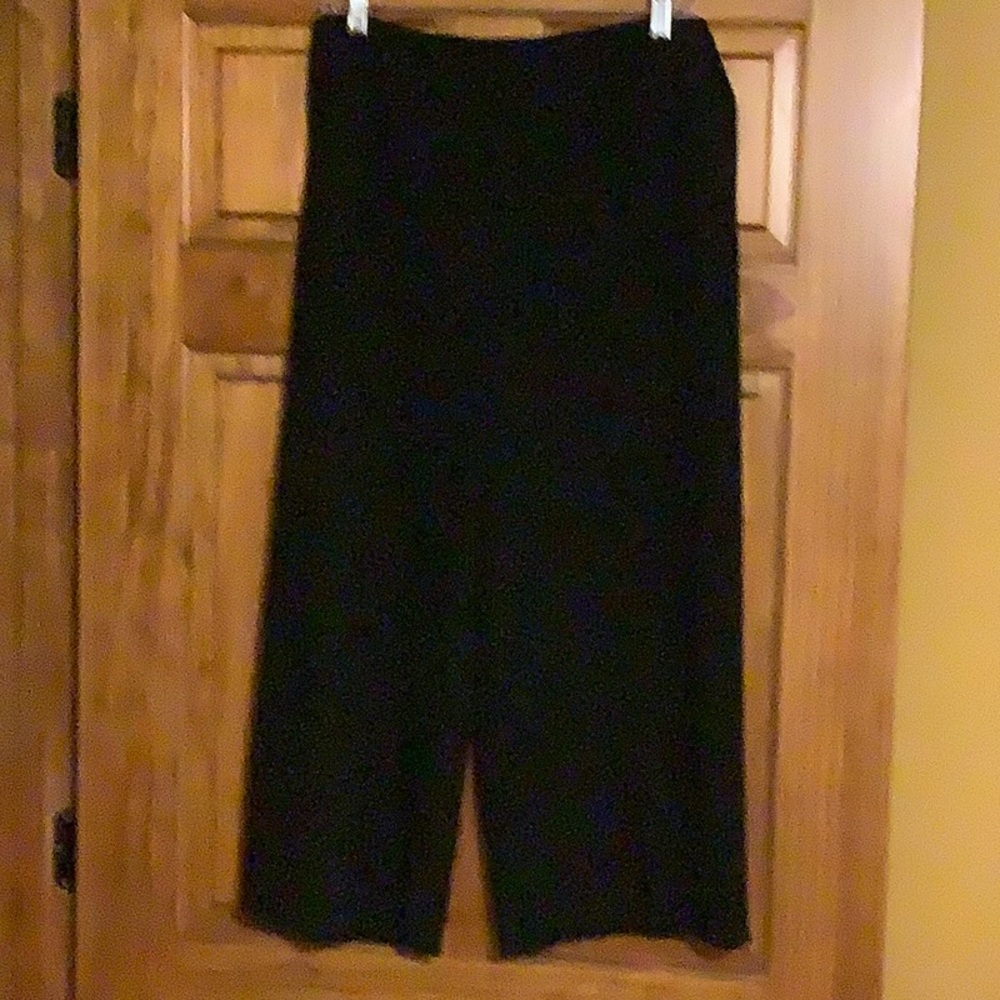 Talbots Polyester/Rayon Blend Pants - image 1